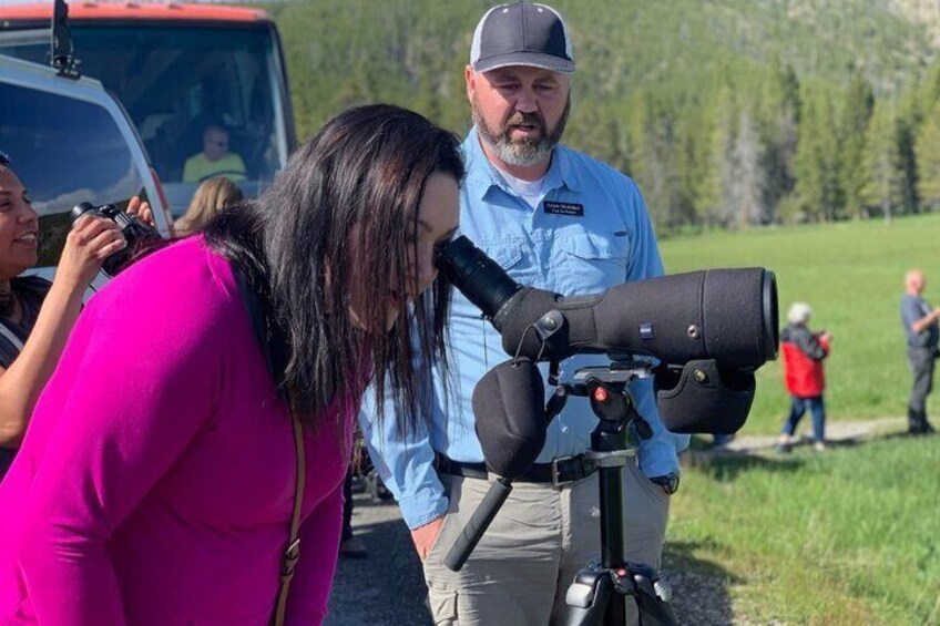 Private Yellowstone Wildlife Sightseeing Tour