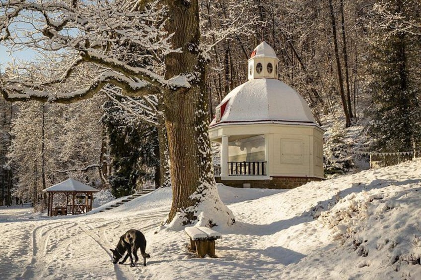 A snow-covered landscape with a gazebo, a snow-covered tree, and a building with a dome. 3