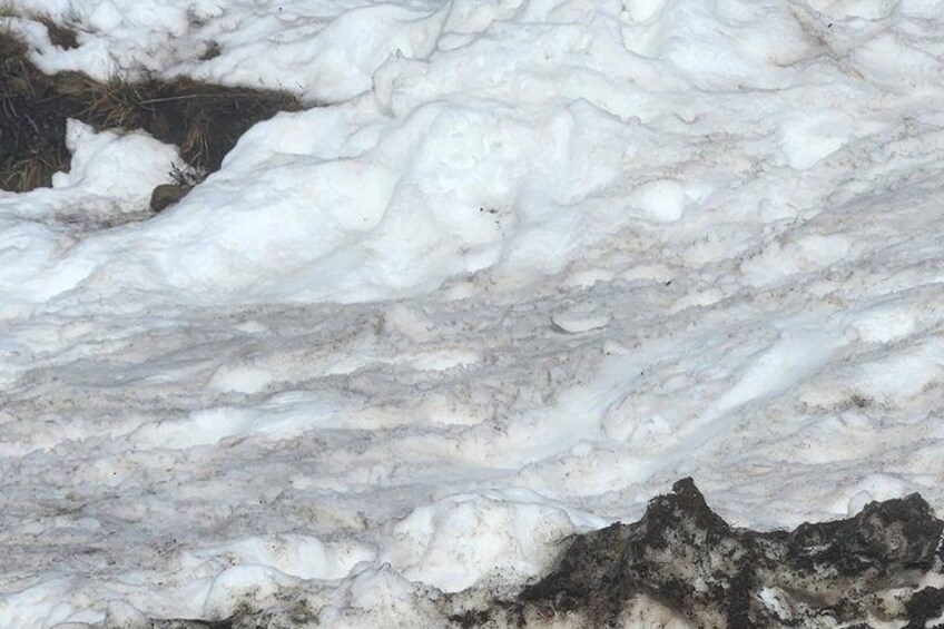 Lake mountain snow tours 3