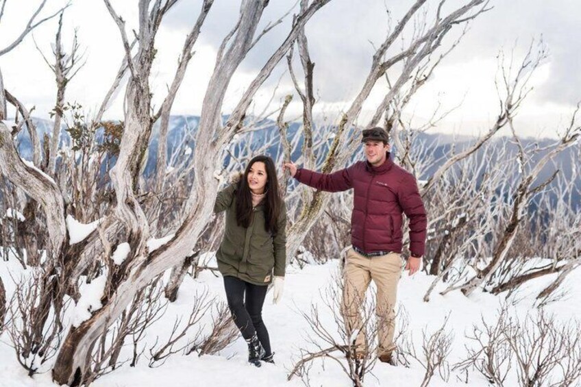 Lake mountain snow tours 1
