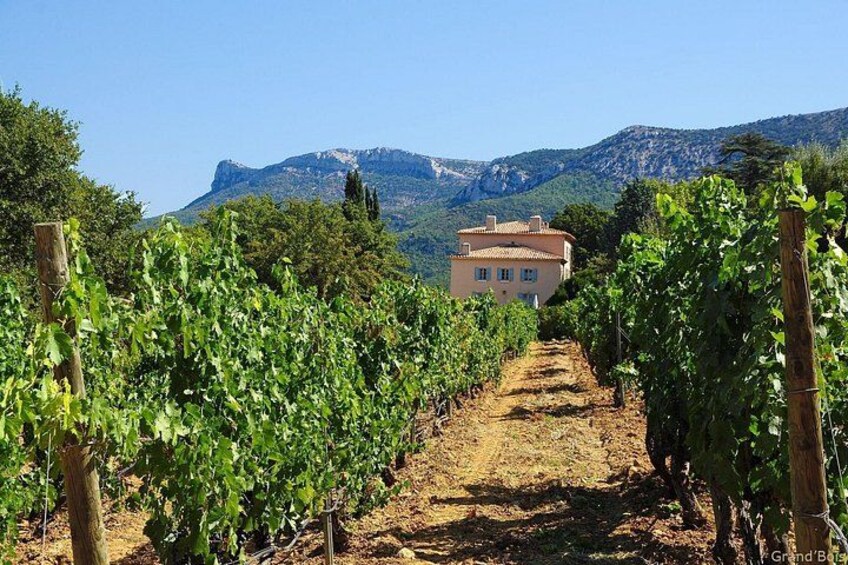 Two intensive days discovering the wine region of Provence, renowned for the excellence of their rosé wines, but also exceptional red & white wines from Cassis on the coast, Mt St Victoire, Cote d'Aix 1