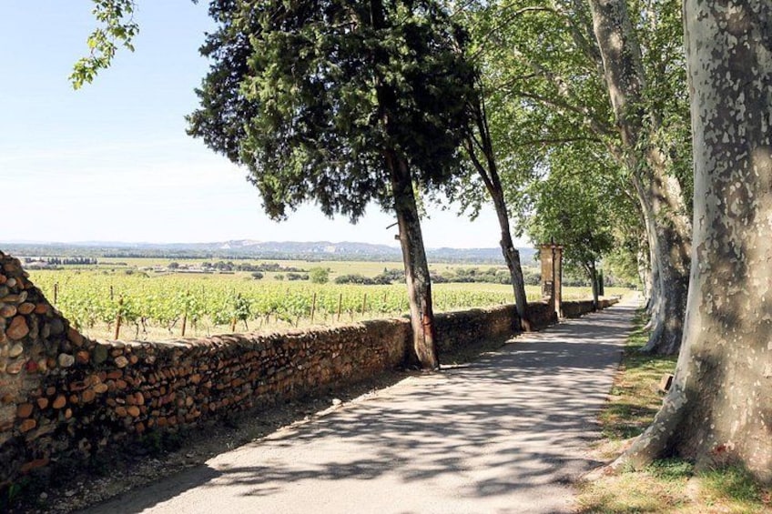 Two intensive days visiting the most famous vineyards of the Châteauneuf-du-Pape & Rhône valley appellation with lunch at two local restaurants with wine paring. 2