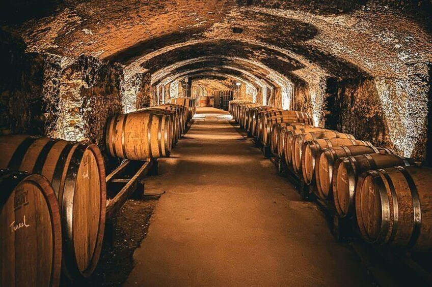 Private Experience - Two Days to Discover the Rhône Valley Wines 5