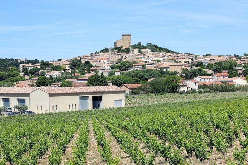 Two intensive days visiting the most famous vineyards of the Châteauneuf-du-Pape & Rhône valley appellation with lunch at two local restaurants with wine paring. 4