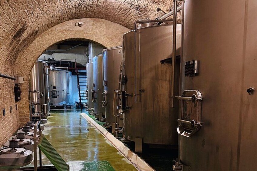Private Experience - Two Days to Discover the Rhône Valley Wines 4