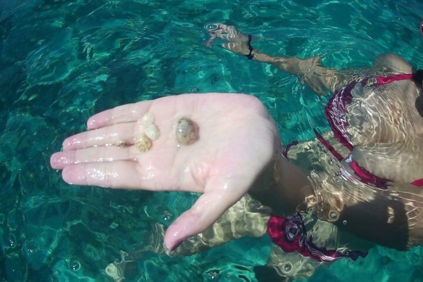 Una mano sosteniendo conchas marinas en agua transparente. 5