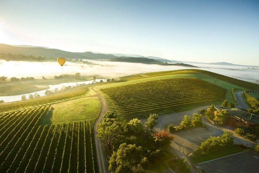 Hot Air Balloon Yarra Valley 1