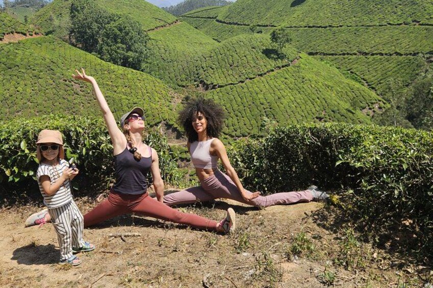Mountain Hiking in Munnar (half day) By Munnar Info 3