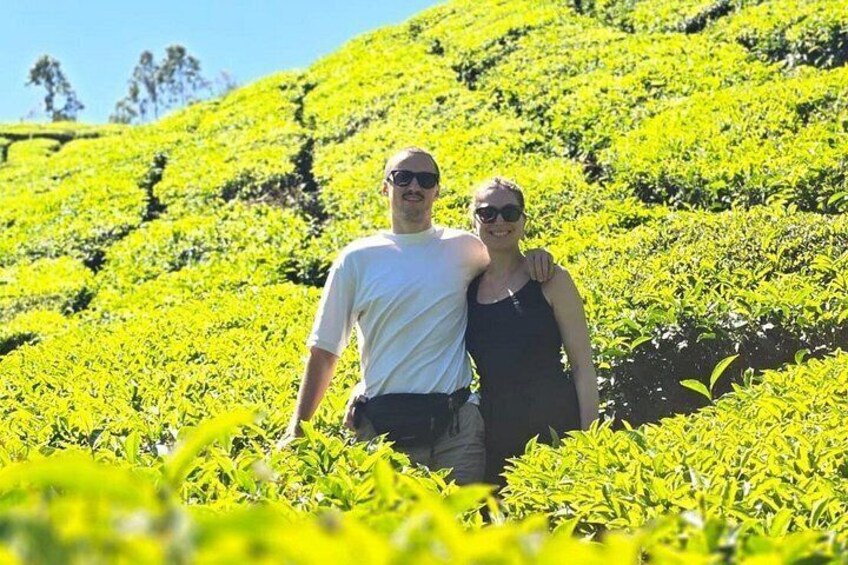 Mountain Hiking in Munnar (half day) By Munnar Info 3