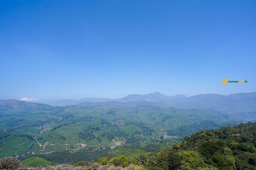 Mountain Hiking in Munnar (half day) By Munnar Info 2