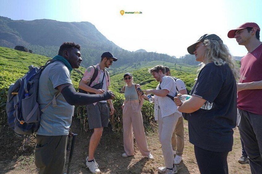 Munnar Tea Trail Tour with Factory Experience ( By Munnar Info) 1