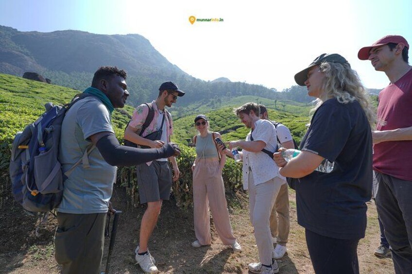 Munnar Tea Trail Tour with Factory Experience ( By Munnar Info) 1