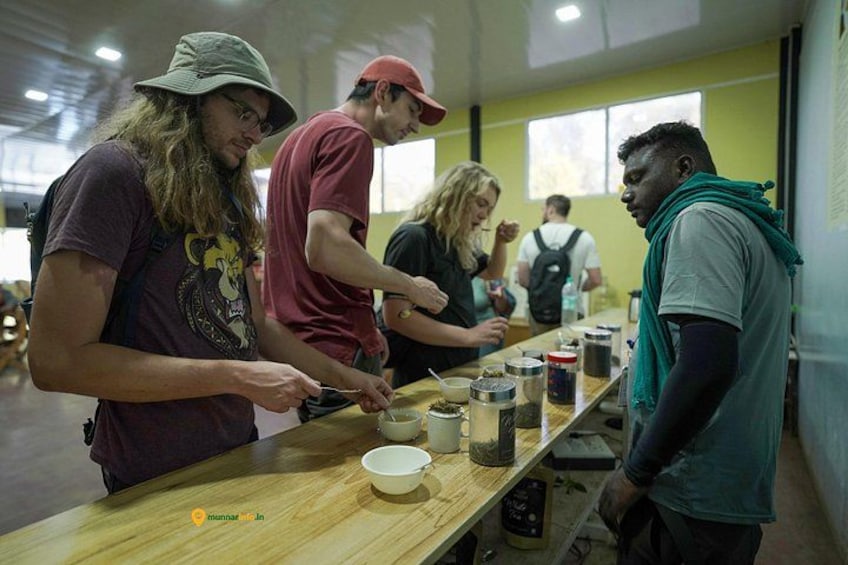 Munnar Tea Trail Tour with Factory Experience ( By Munnar Info) 2