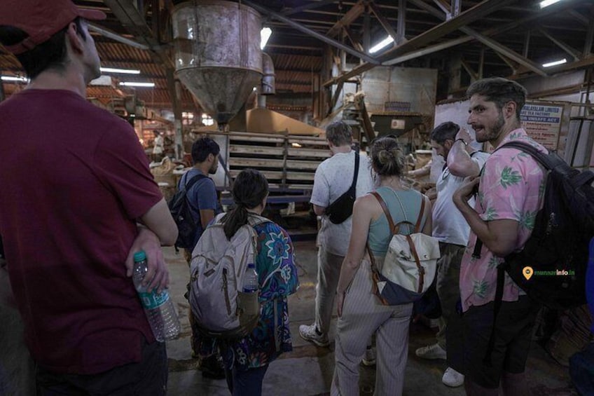 Munnar Tea Trail Tour with Factory Experience ( By Munnar Info) 3