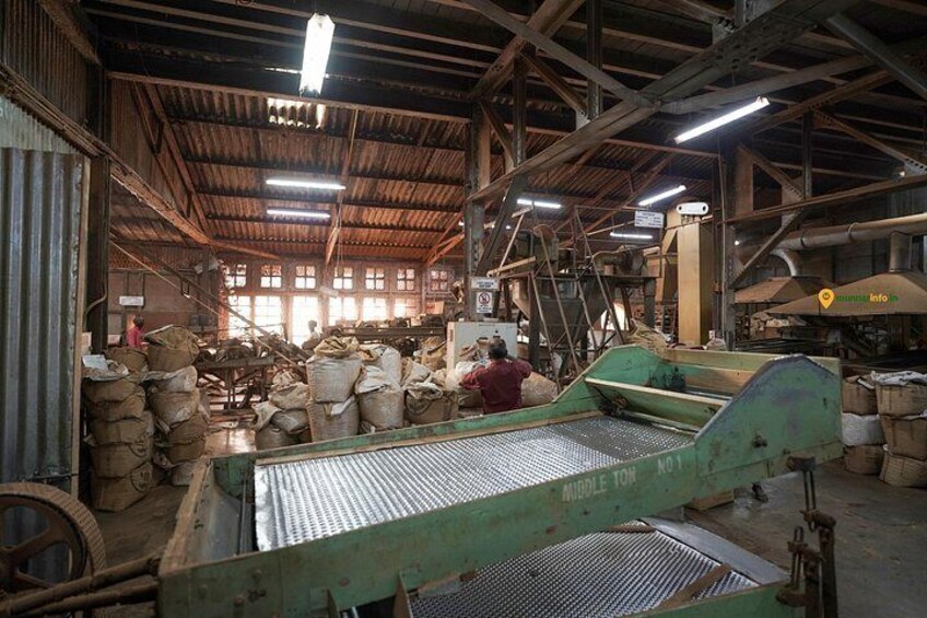 Munnar Tea Trail Tour with Factory Experience ( By Munnar Info) 2