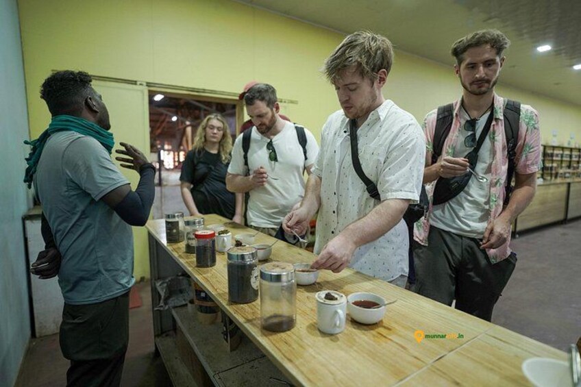 Munnar Tea Trail Tour with Factory Experience ( By Munnar Info) 2