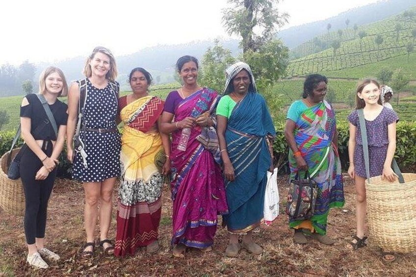 Munnar Tea Trail Tour with Factory Experience ( By Munnar Info) 2