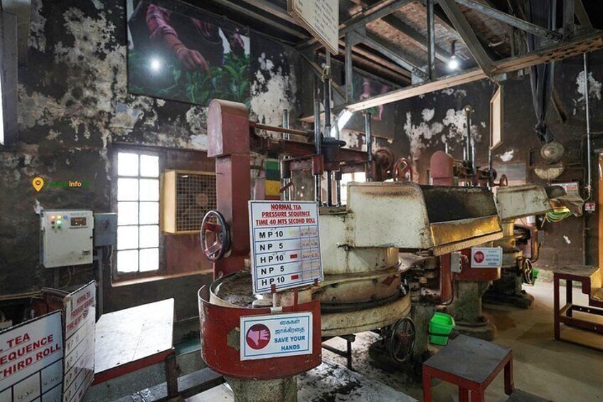 Munnar Tea Trail Tour with Factory Experience ( By Munnar Info) 5