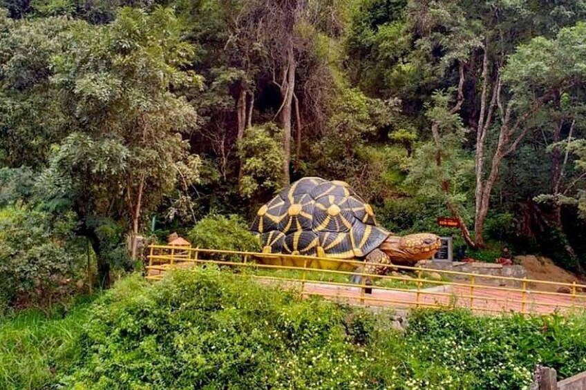 Chinnar wild valley experience day tour ( By Munnar Info) 3