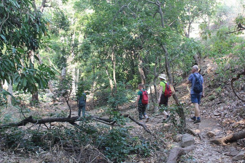 Chinnar wild valley experience day tour ( By Munnar Info) 4