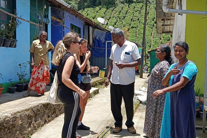 Anakulam Wild Elephant Village life tour ( By Munnar Info) 1