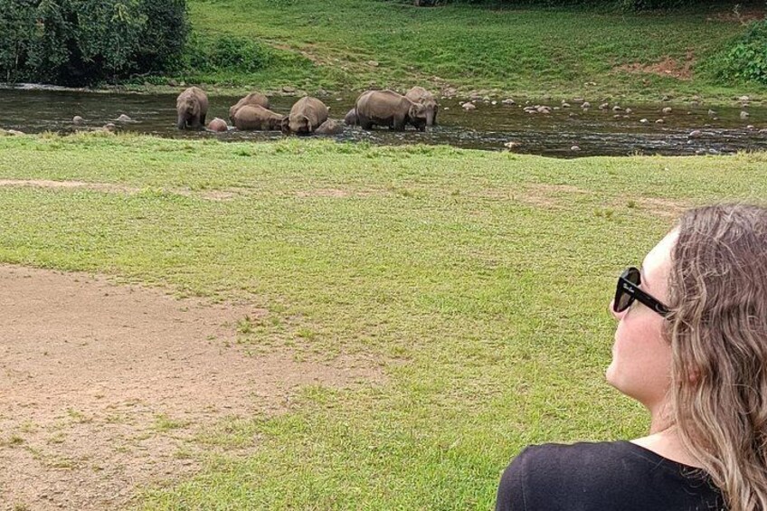 A grassy area with a river and elephants. 1