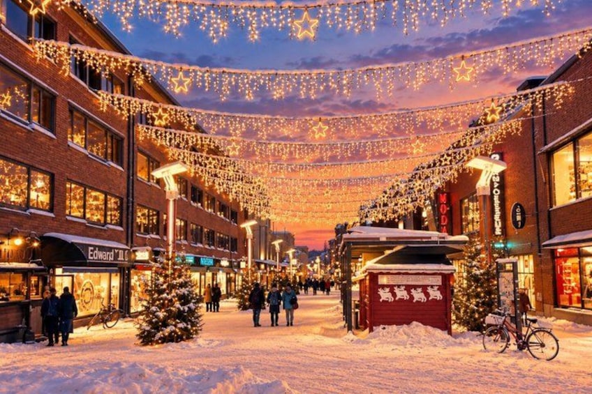 Rovaniemi Guided Tour and Santa Claus Village 4