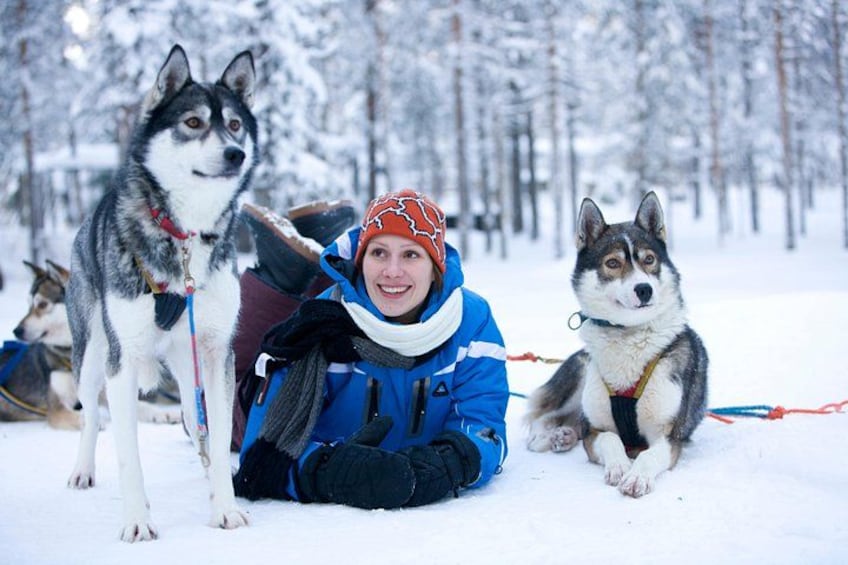 Een persoon met twee sledehonden in een besneeuwd bos. 1