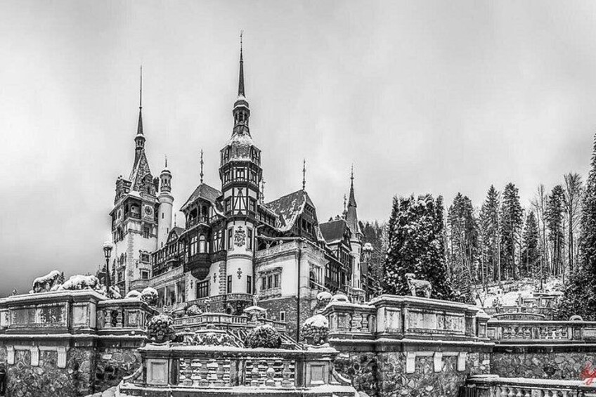 Dracula's Castle, Peles Castle and Brasov - Private Day Trip from Bucharest 5