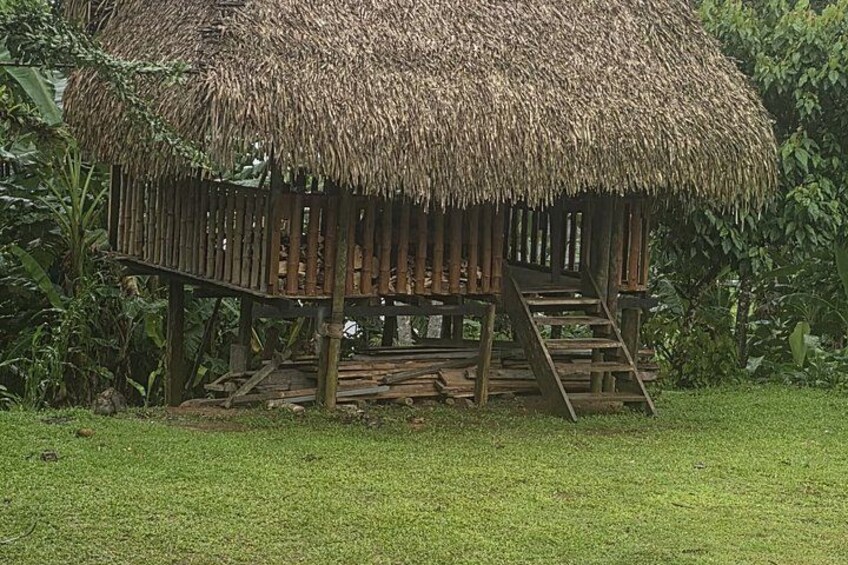 New Embera Tribe Short Half Day Tour 4.5h 4
