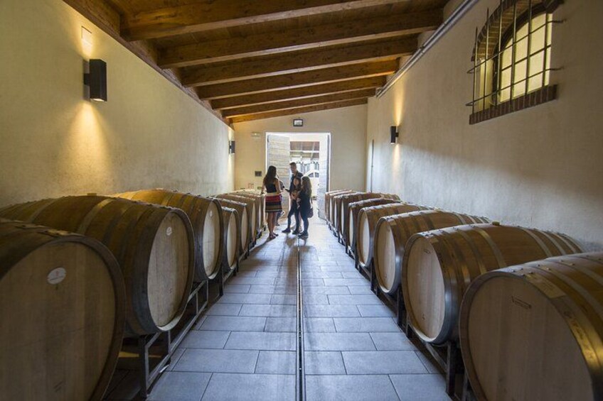 Barolo Wine Tour 1