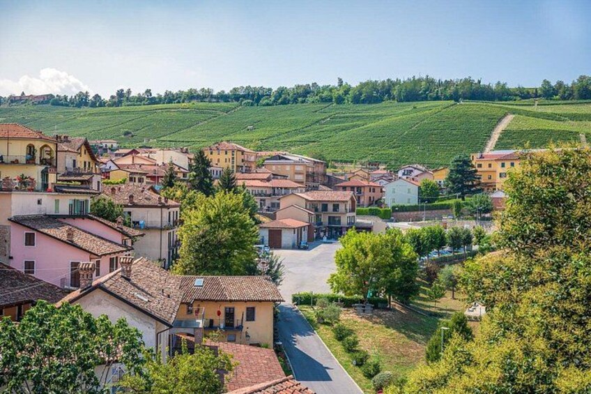 Barolo Wine Tour 2