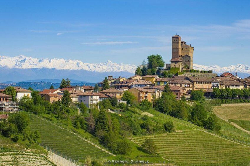 Barolo Wine Tour 2