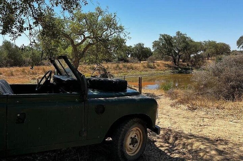 A green off-road vehicle parked near a water body with trees and dry grass in the background. 3