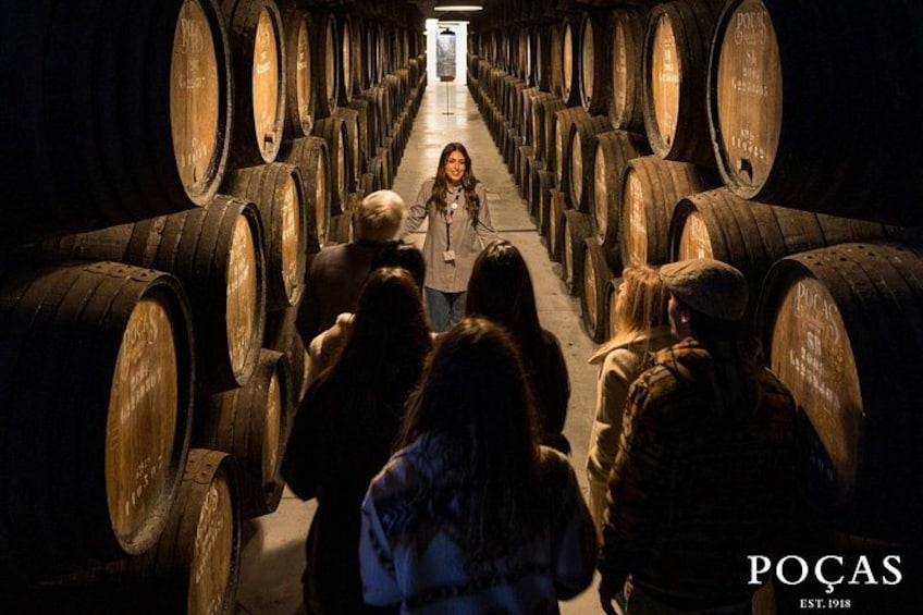 A wine cellar with rows of wooden barrels and a person walking down the center aisle. 1