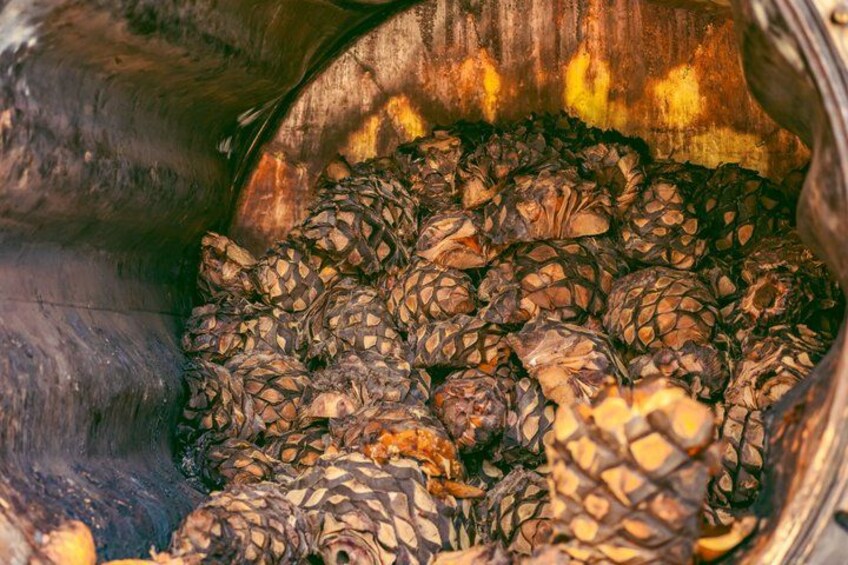Luxury Tequila Experience: VIP Tastings & Boutique Distilleries 2
