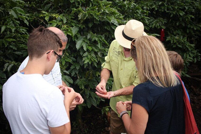 A group of people outdoors, engaged in a discussion. 4