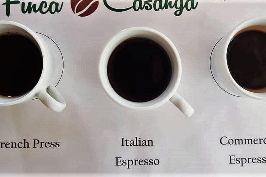 Three coffee cups labeled with different types of espresso. 5