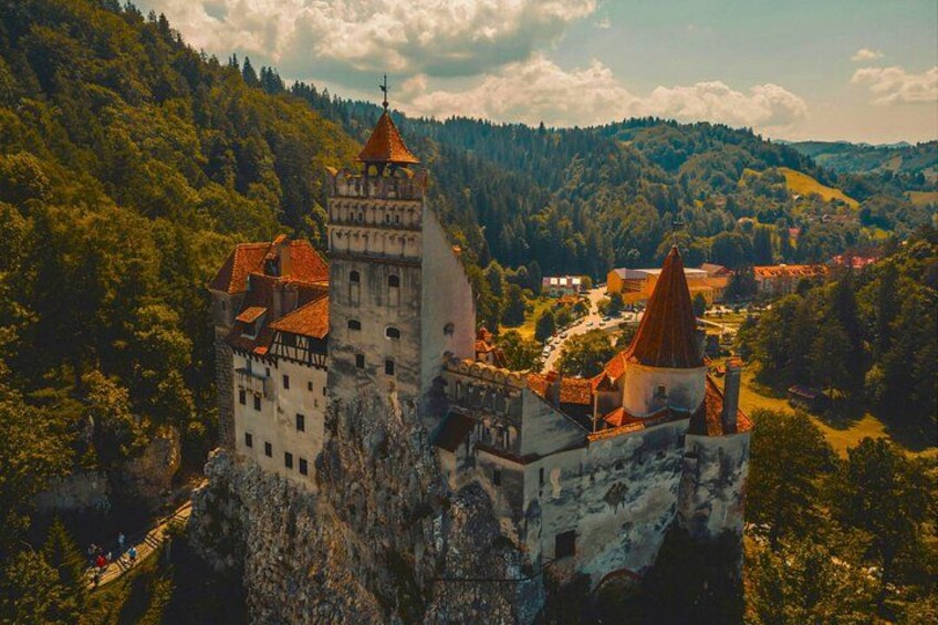 From Bucharest: Bear Sanctuary, Dracula's Castle & Brasov 2