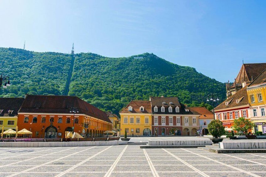 From Bucharest: Bear Sanctuary, Dracula's Castle & Brasov 2