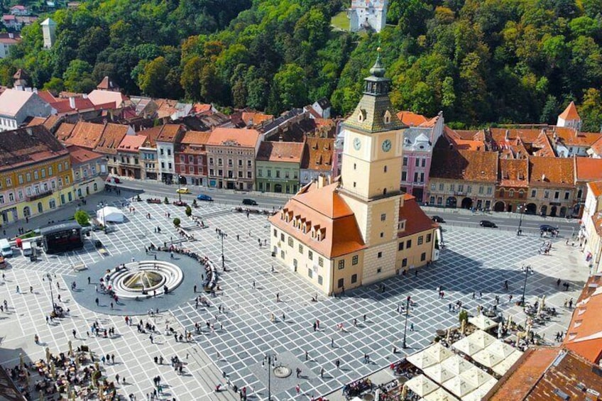 From Bucharest: Bear Sanctuary, Dracula's Castle & Brasov 5