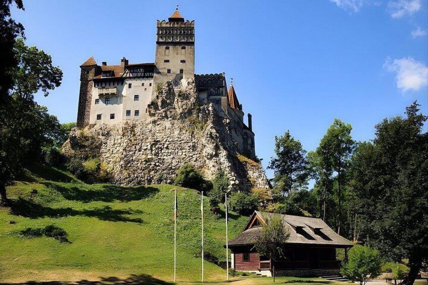 From Bucharest: Bear Sanctuary, Dracula's Castle & Brasov 4