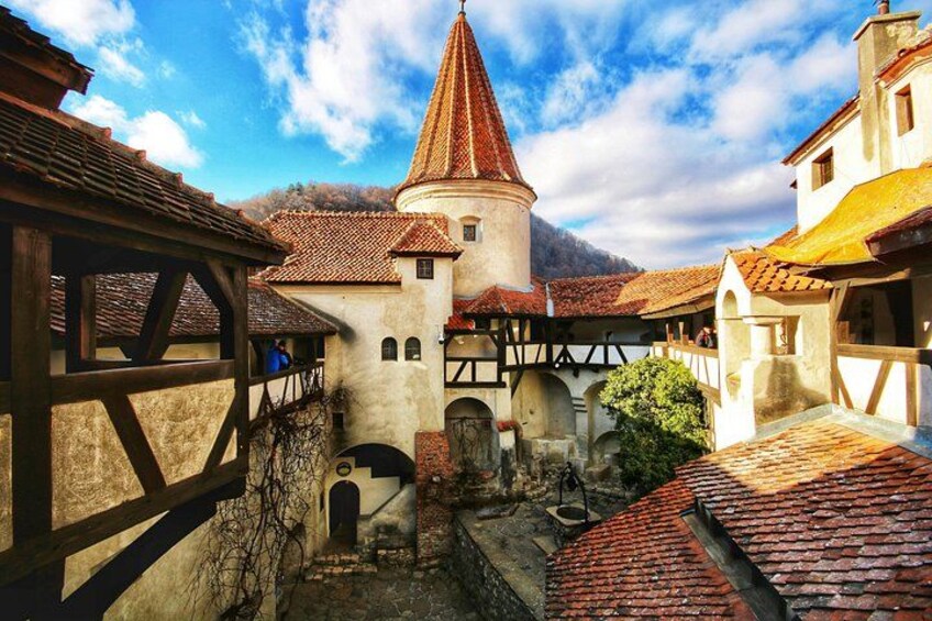 From Bucharest: Bear Sanctuary, Dracula's Castle & Brasov 3