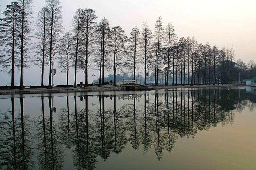 Un lago tranquilo con altos árboles reflejados en el agua, un pequeño puente y un edificio a lo lejos. 2