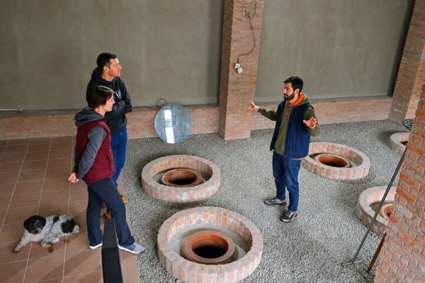 Kakheti - Small wineries and family-cooked lunch • Private tour 2