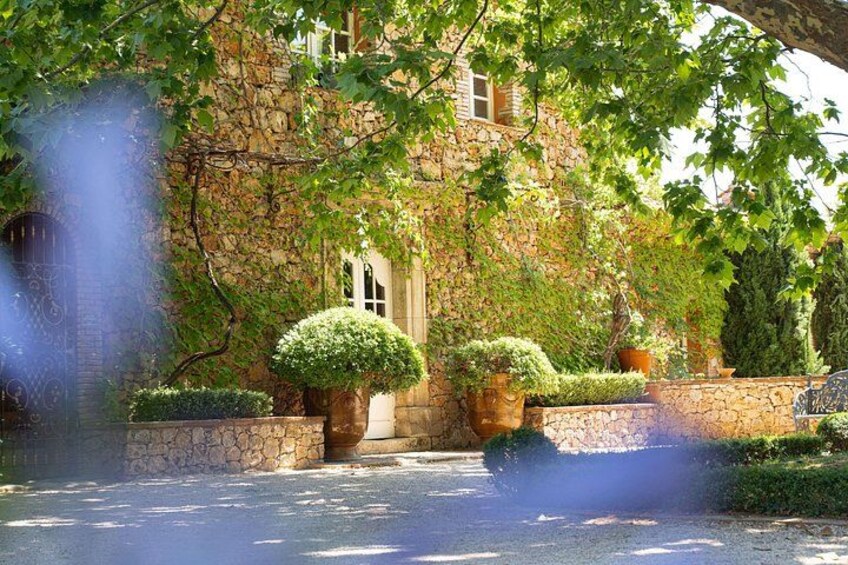 Provence Wine Tour - Private Day Tour from Nice 3