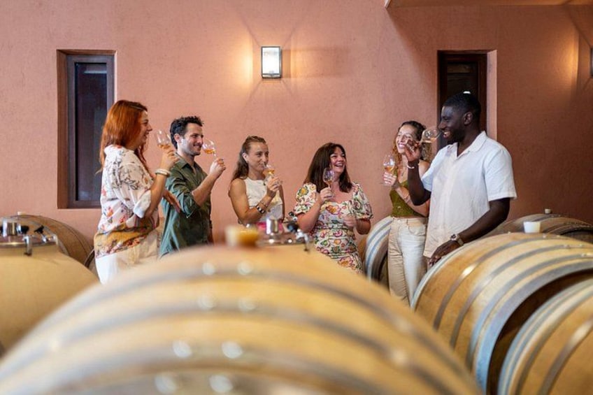 Provence Wine Tour - Private Day Tour from Nice 2