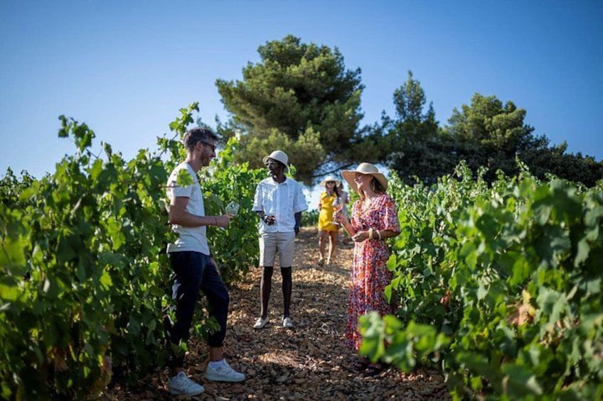Provence Wine Tour - Private Day Tour from Nice 3