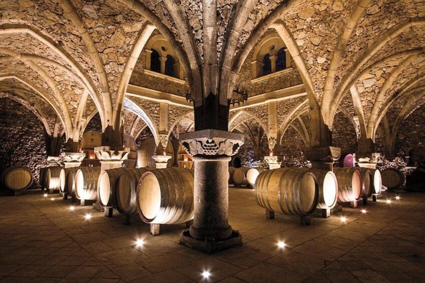 Visit some of the most beautiful underground cellars 5