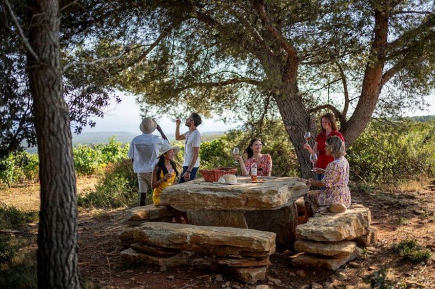 Provence Wine Tour - Private Day Tour from Nice 2